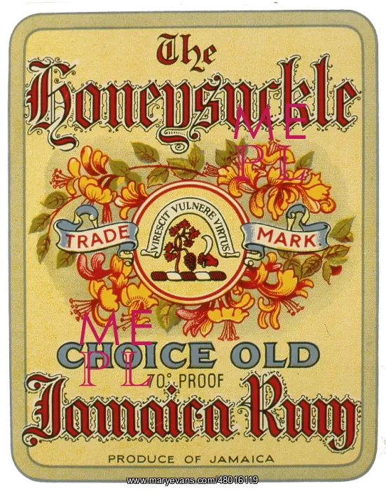 : Label design for Honeysuckle Jamaica Rum : Label design for Honeysuckle Jamaica Rum