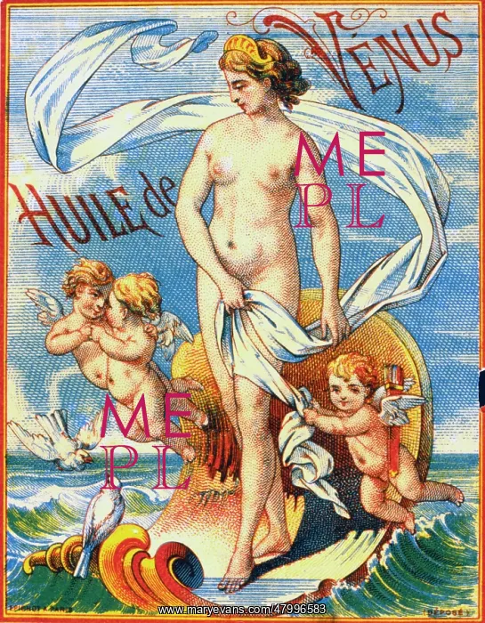 : Label design for Huile de Venus : Label design for Huile de Venus