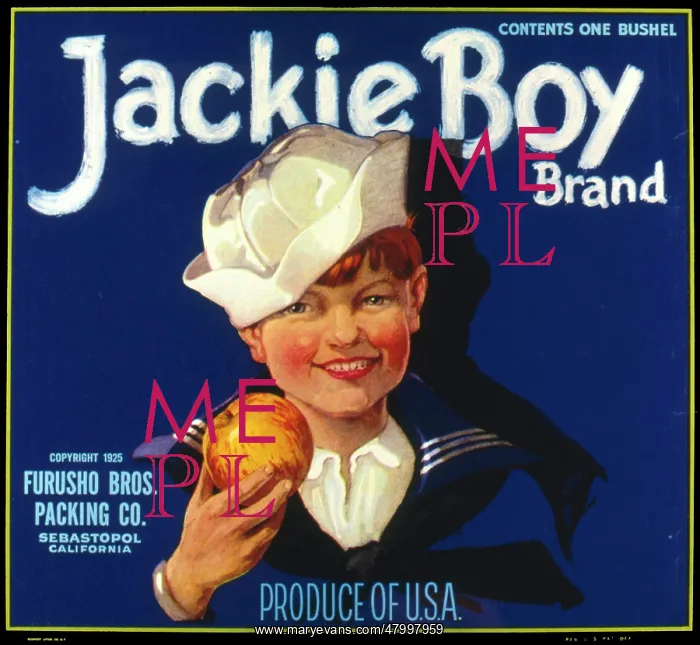 : Label design for Jackie Boy Brand apples : Label design for Jackie Boy Brand apples