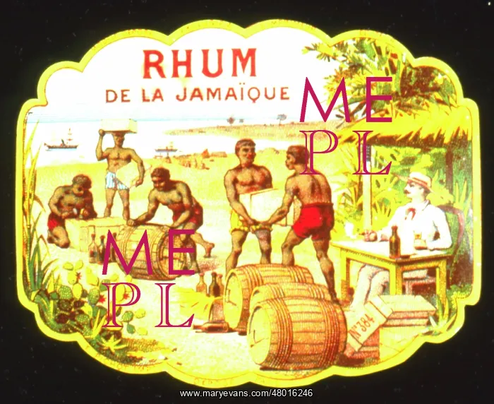 : Label design for Jamaican Rum : Label design for Jamaican Rum