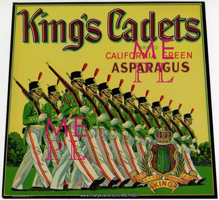 : Label design, King's Cadets Asparagus : Label design, King's Cadets Asparagus