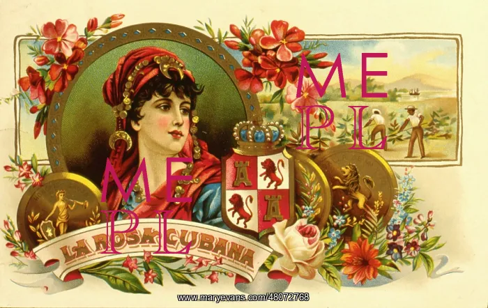  : Label design, La Rosa Cubana cigars