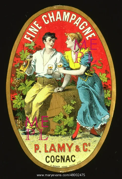 : Label design for Lamy Cognac (Fine Champagne) : Label design for Lamy Cognac (Fine Champagne)