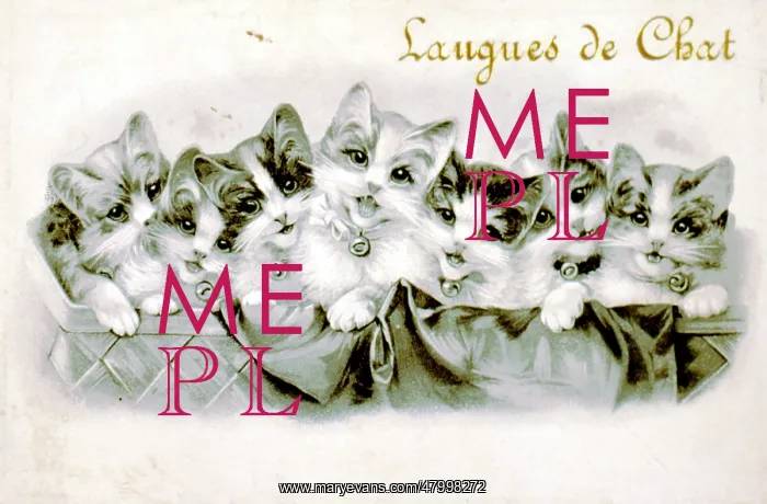 : Label design for Langues de Chat : Label design for Langues de Chat