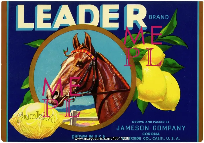  : Label design, Leader Sunkist Lemons