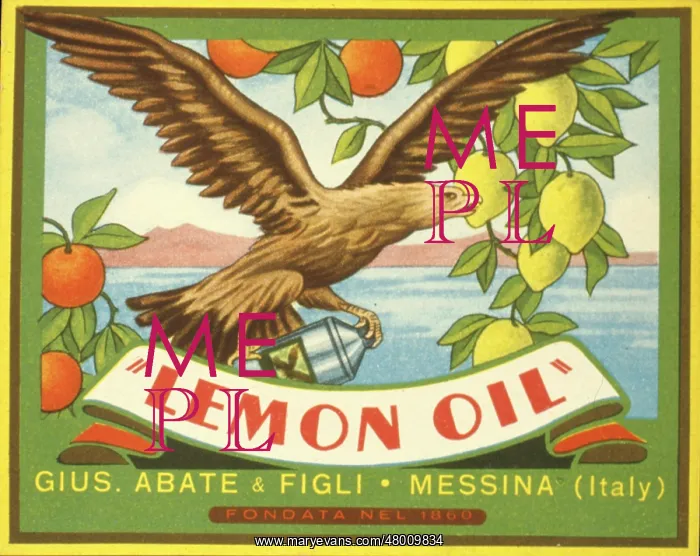 : Label design for Lemon Oil : Label design for Lemon Oil