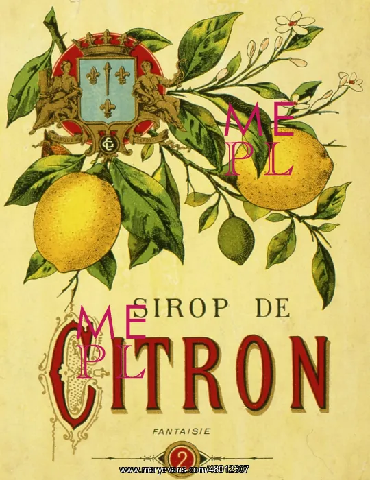 : Label design for lemon syrup or juice : Label design for lemon syrup or juice