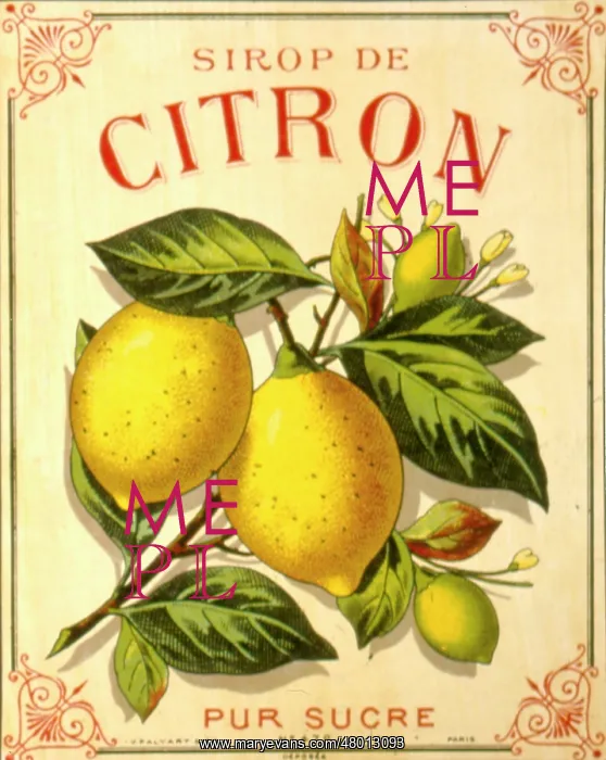: Label design for lemon syrup or juice : Label design for lemon syrup or juice