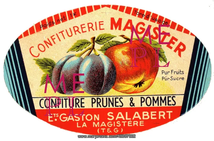 : Label design for Magister plum and apple jam : Label design for Magister plum and apple jam