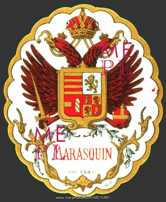 : Label design for Marasquin liqueur : Label design for Marasquin liqueur