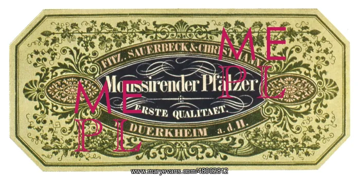 : Label design for Moussirender Pfalzer wine : Label design for Moussirender Pfalzer wine