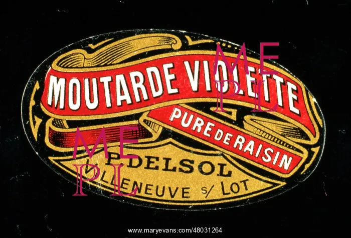 : Label design, Moutarde Violette : Label design, Moutarde Violette