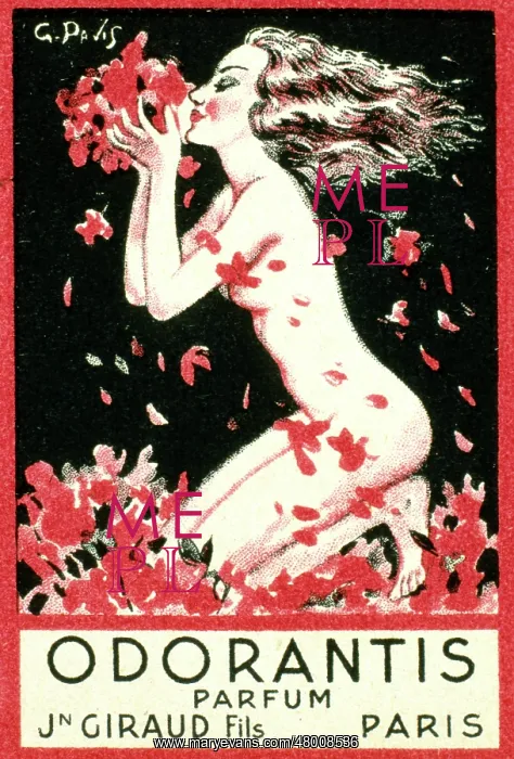 : Label design for Odorantis perfume : Label design for Odorantis perfume