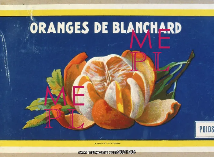 : Label design for Oranges de Blanchard : Label design for Oranges de Blanchard