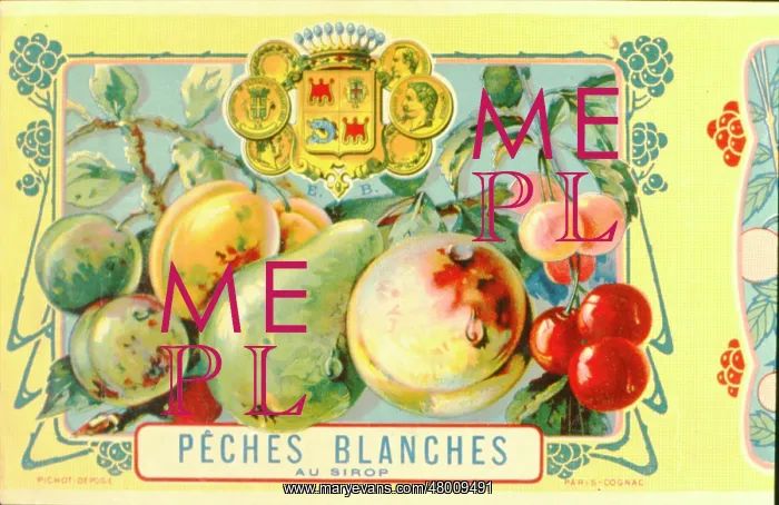 : Label design for Peaches in Syrup : Label design for Peaches in Syrup