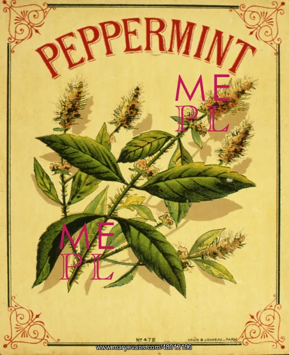  : Label design for Peppermint flavouring