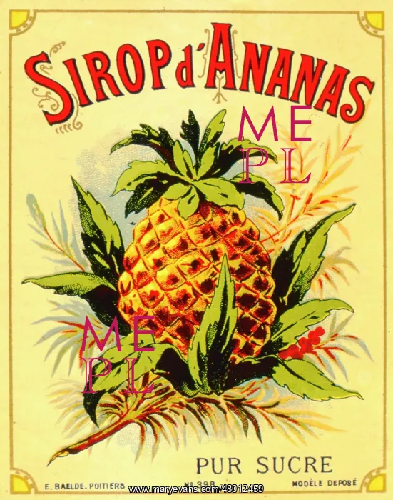 : Label design for pineapple juice or syrup : Label design for pineapple juice or syrup
