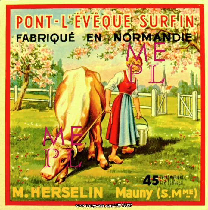: Label design for Pont l'Eveque Surfin soft cheese : Label design for Pont l'Eveque Surfin soft cheese