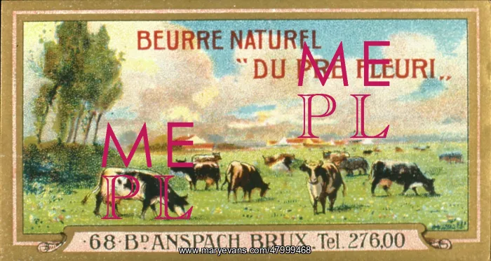 : Label design for Pre Fleuri butter : Label design for Pre Fleuri butter