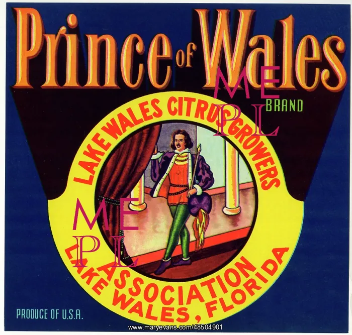 : Label design, Prince of Wales Citrus Fruit : Label design, Prince of Wales Citrus Fruit