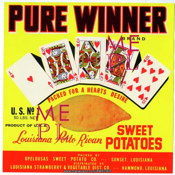 : Label design, Pure Winner Sweet Potatoes : Label design, Pure Winner Sweet Potatoes