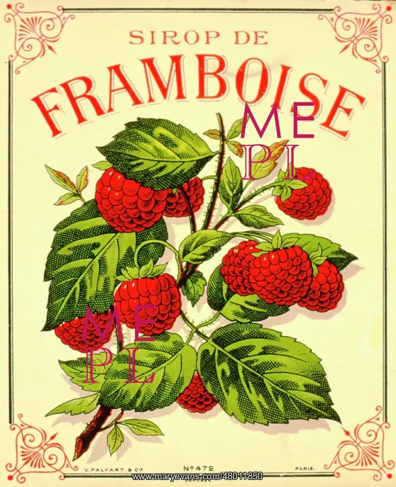 : Label design for raspberry syrup or juice : Label design for raspberry syrup or juice