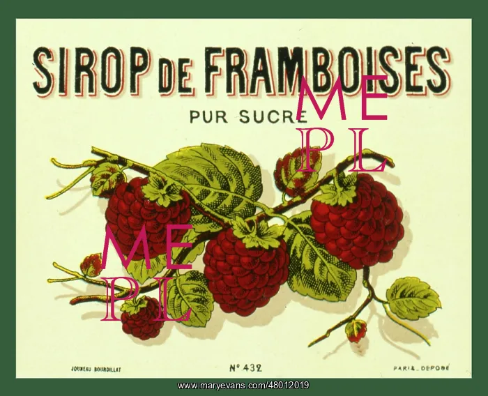: Label design for raspberry syrup or juice : Label design for raspberry syrup or juice