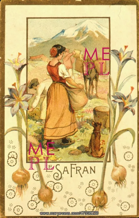 : Label design for saffron : Label design for saffron