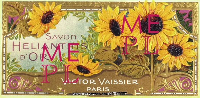: Label design for Savon Helianthis d'Or : Label design for Savon Helianthis d'Or
