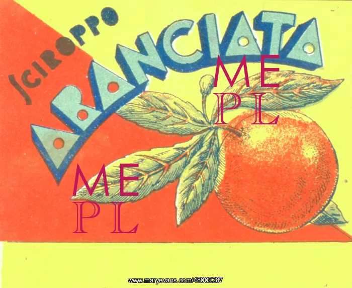  : Label design for Sciroppo Aranciata