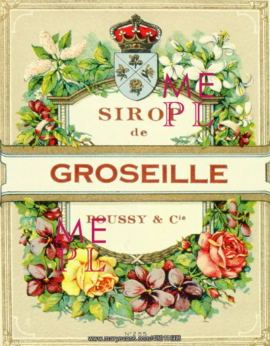 : Label design for Sirop de Groseille : Label design for Sirop de Groseille