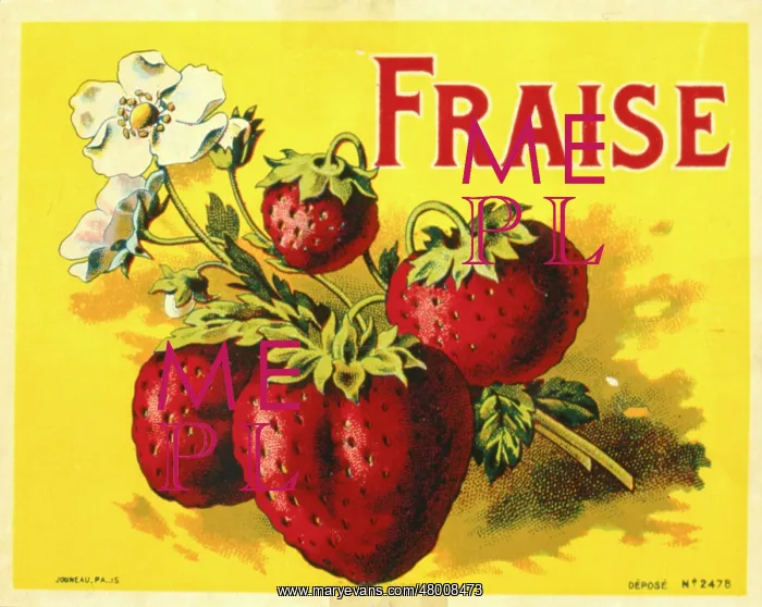 : Label design for strawberries : Label design for strawberries