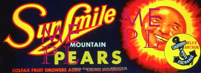 : Label design for Sun Smile Mountain Pears : Label design for Sun Smile Mountain Pears