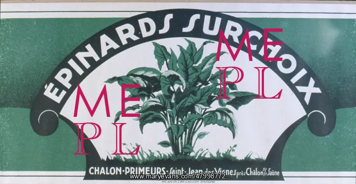 : Label design for Surchoix spinach : Label design for Surchoix spinach