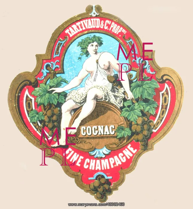 : Label design for Tartivaud Cognac : Label design for Tartivaud Cognac