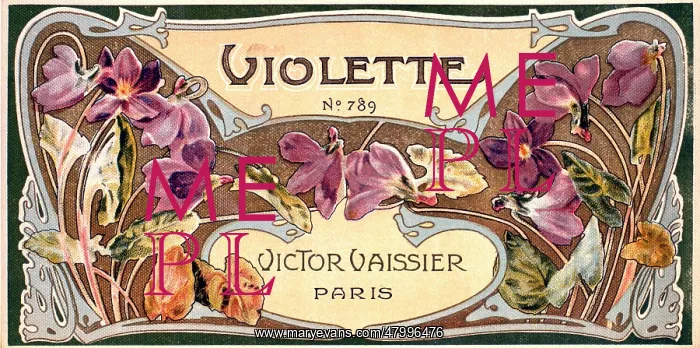 : Label design for Violette perfume : Label design for Violette perfume