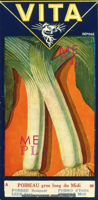  : Label design for Vita -- flag leek
