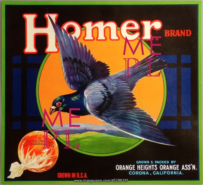 : Label, Homer Brand Sunkist oranges, California, USA : Label, Homer Brand Sunkist oranges, California, USA