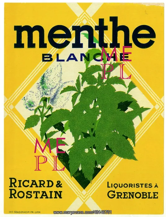  : Label, Menthe Blanche