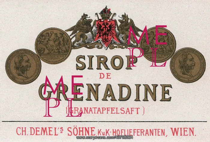 : Label > Sirop de Grenadine < of Demel : Label > Sirop de Grenadine < of Demel
