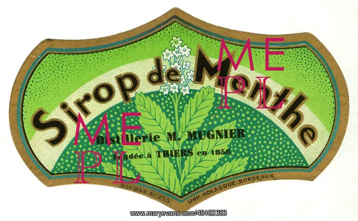 : Label, Sirop de Menthe