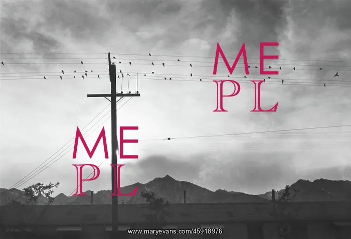 : labor camp - Japanese-Americans - internment : labor camp - Japanese-Americans - internment