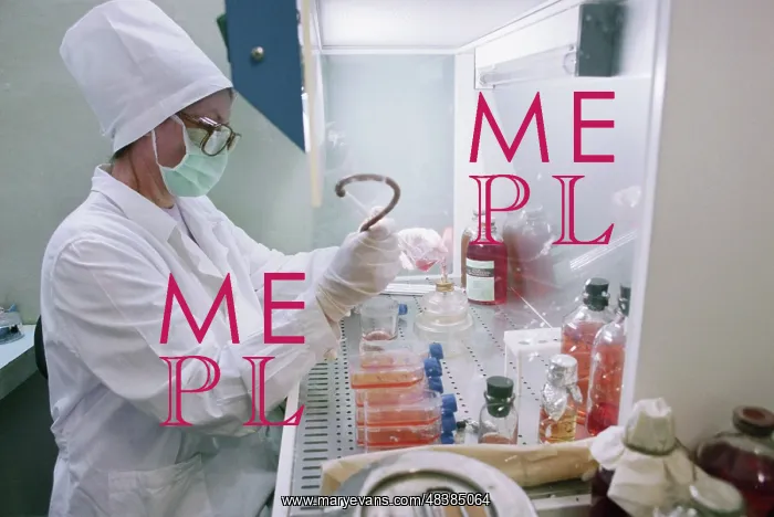 : Laboratory of cellular biotechnology : Laboratory of cellular biotechnology