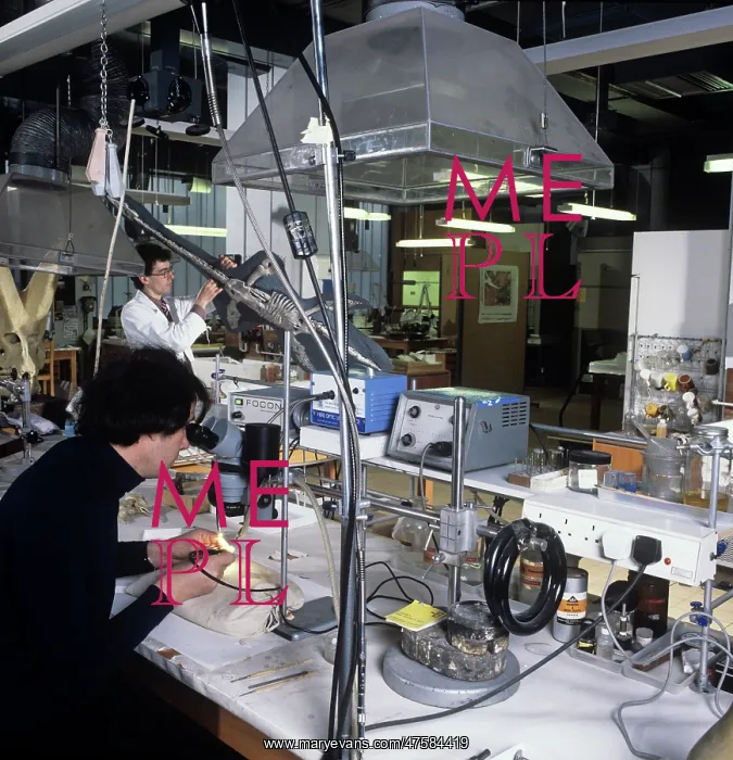 : Laboratory work : Laboratory work