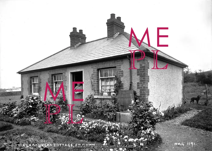 : A Labourer's Cottage, Co. Down : A Labourer's Cottage, Co. Down