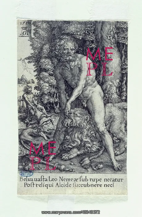 : The labours of Hercules : The labours of Hercules