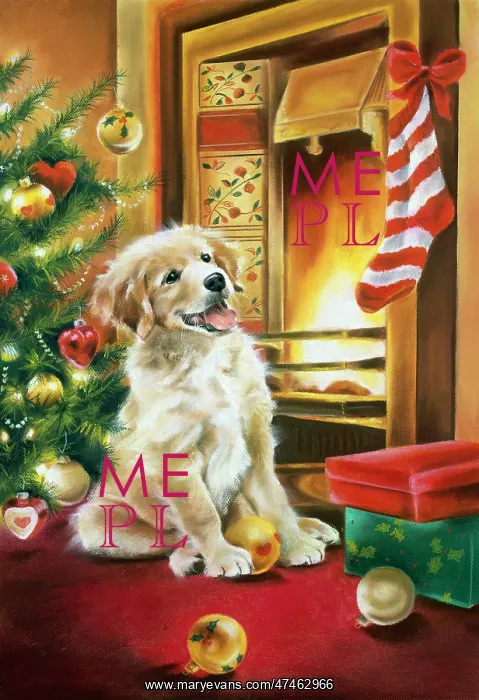 : Labrador by Fireside ? with Christmas tree : Labrador by Fireside ? with Christmas tree