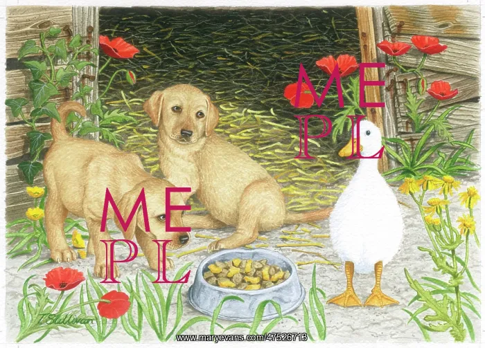 : Two Labrador puppies and a gosling : Two Labrador puppies and a gosling