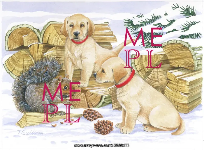 : Two Labrador Puppies with Grey Squirrel in snow : Two Labrador Puppies with Grey Squirrel in snow