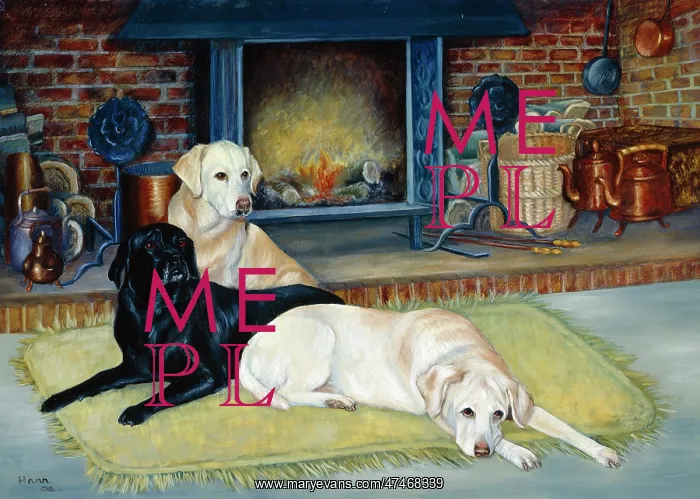 : Labradors in front of fireplace : Labradors in front of fireplace